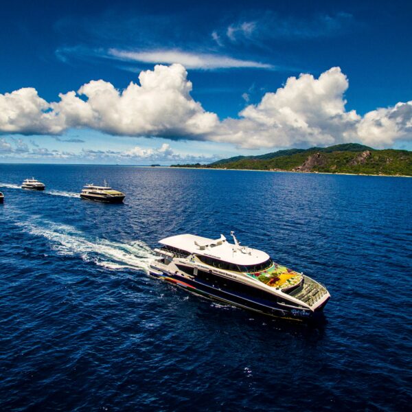 Creole Travel Services