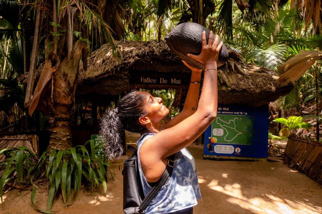 Creole Travel Services